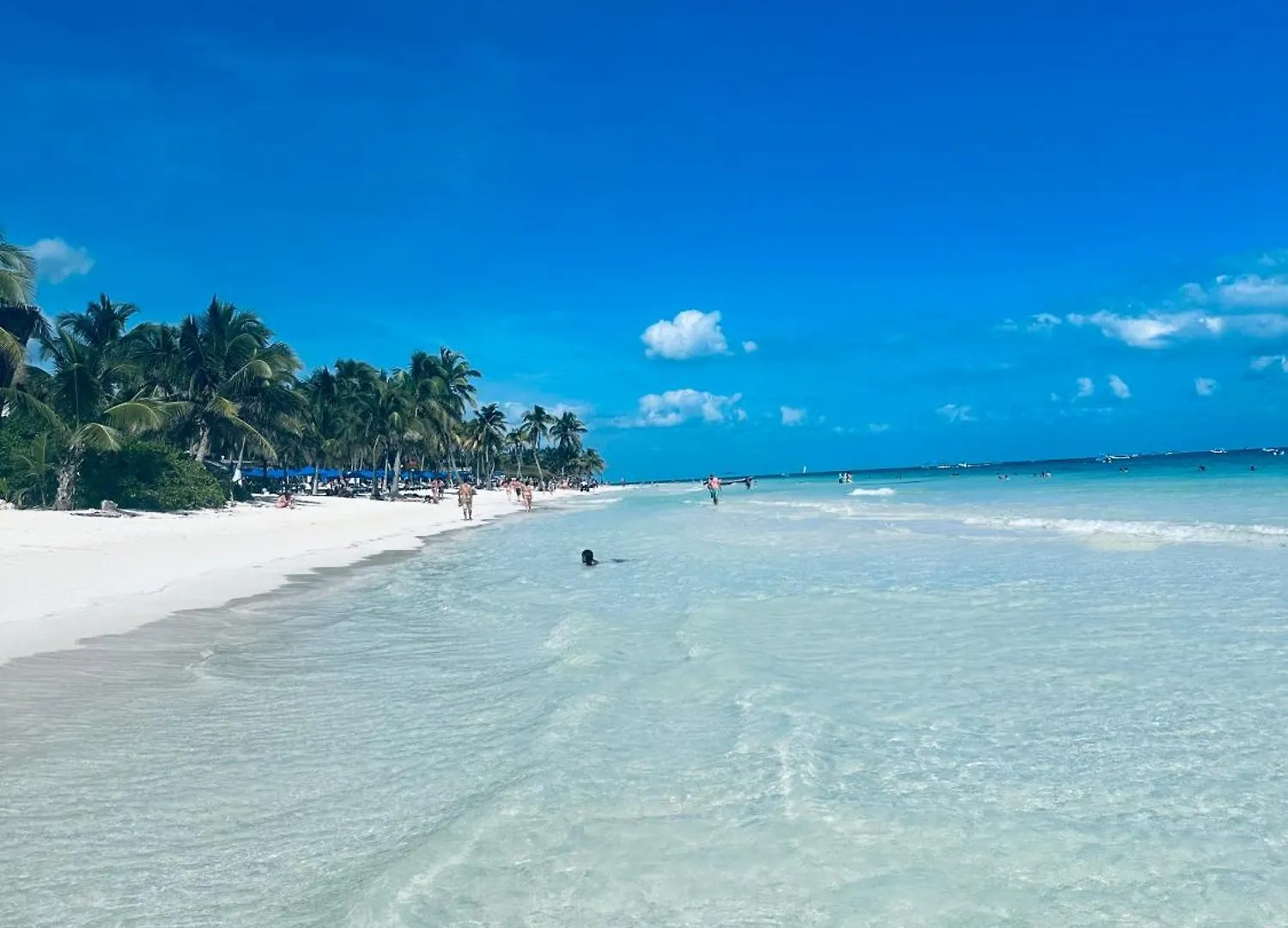 Apartamento Aflora Resort Style Studio Tulum